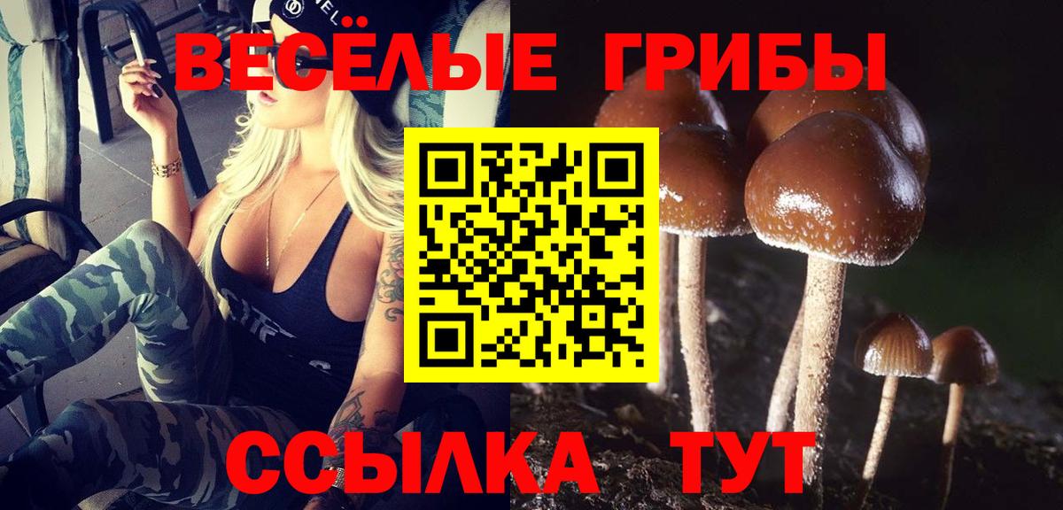 Галлюциногенные грибы мицелий  Вход с VPN  Гусев 